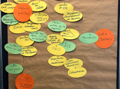 Pinnwand, auf der mit bunten Zetteln die Ergebnisse der Session als Stichworte angepinnt sind